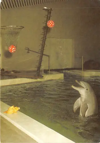 Lot153 Pardubice Tschechien Delfin Tiertraining