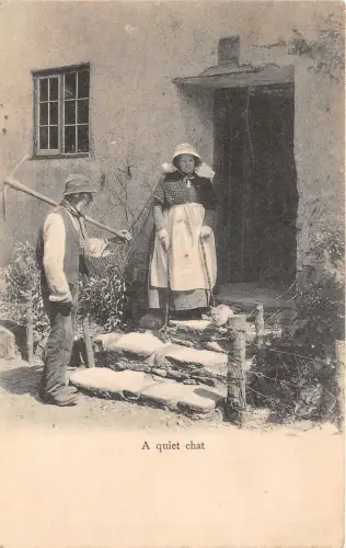 Lot162 a quaiet chat cat uk types folklore animal universal series