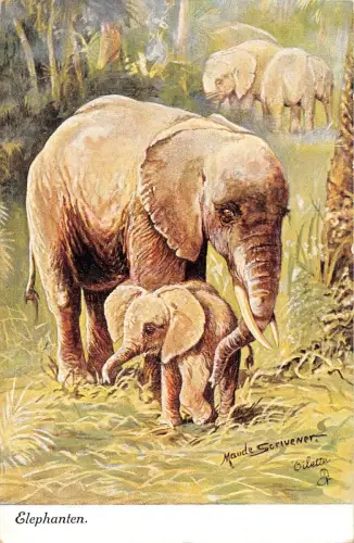 B98446 Elefanten Elefanten Gemälde Postcad Maude Sorivener Tier Animaux