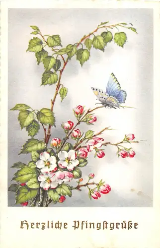 BG4593 Blume Schmetterling Pfingsten Pfingsten Deutschland Grüße