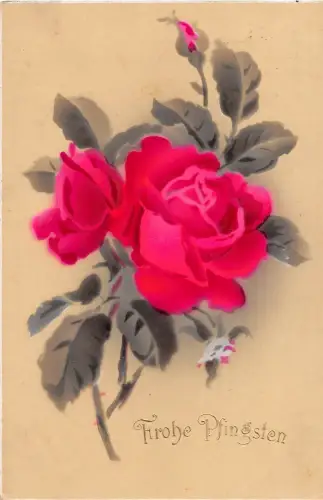 BG4764 Rose Pfingsten Pfingstblume Deutschland Grüße