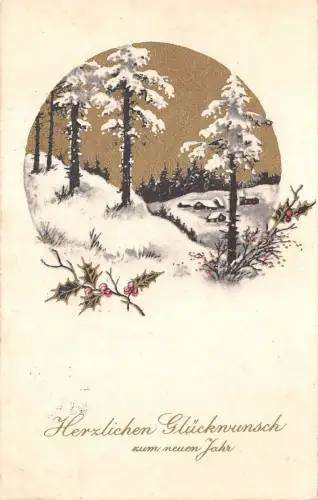 BG4731 Mistel Neujahr Neujahr Deutschland Grüße