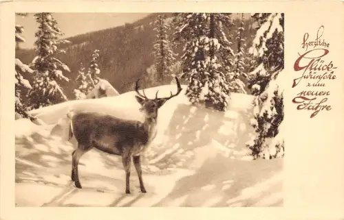 BG4556 neujahr neujahr cerf hirsch deutschland grüße