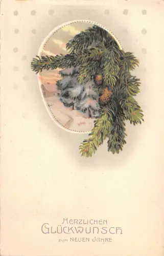 BG4251 Neujahr Neujahr Tannenzweig Deutschland Grüße