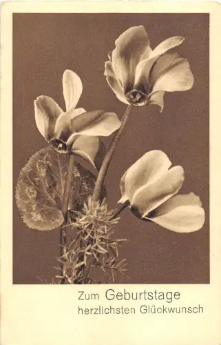 BG4204 Geburtstag Blume Deutschland Grüße