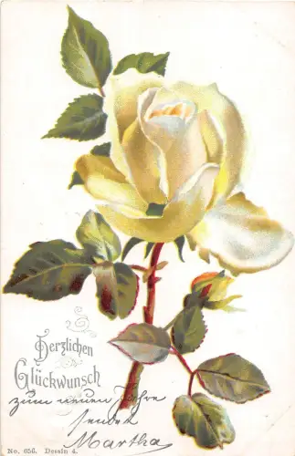 BG4272 herzlichen Glückwunsch Glückwunsch Rose Blume Deutschland Grüße