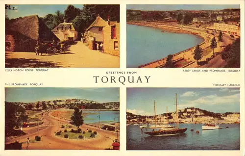 uk5012 greetings from torquay uk