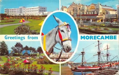 uk7399 greetings from morecambe uk donkey