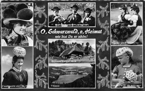 B55830 Schwarzwald Multiviews Germany