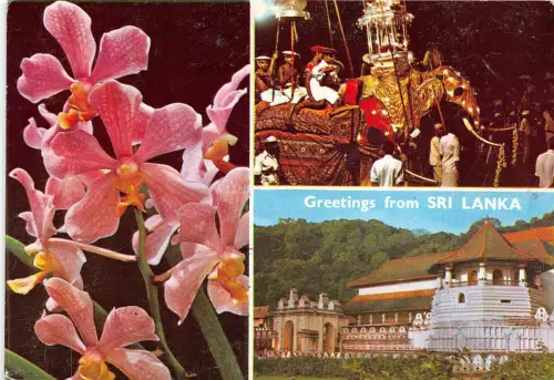 BF36423 Grüße aus Sri Lanka Ceylon Typen Front/Back Scan