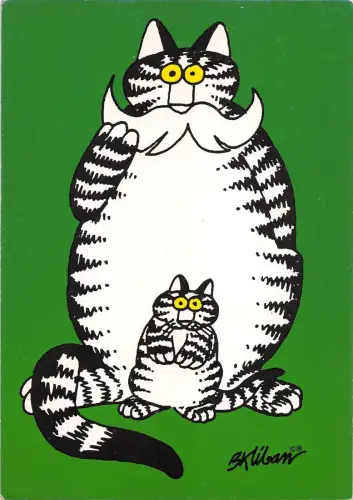 B98628 Katze Chat Postkarte Tiere Animaux