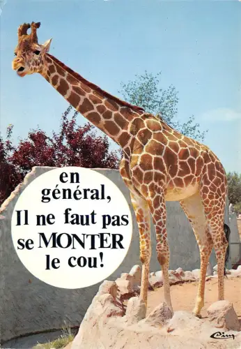 BR44131 La girafe afrique Giraffen animaux Tiere