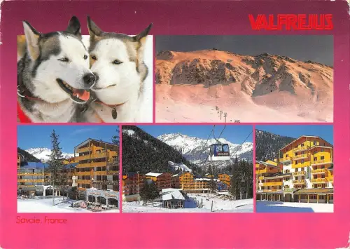 BT9414 Tiere Animaux Hunde Chiens 1