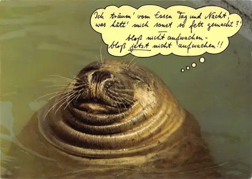 B98599 Sceau Robbe Tiere Animaux