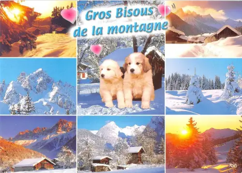 BT9329 Tiere Animaux Hund