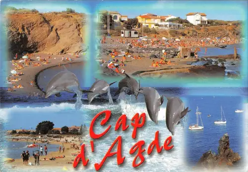 BT9417 Tiere Animaux Delfine Dauphins