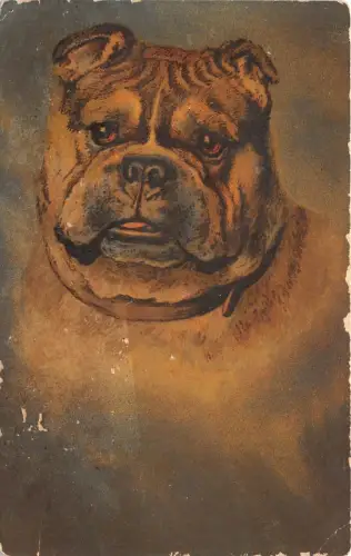 B37564 Tiere Animaux Chein Hund