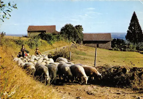 BR26328 La Sortie du troupeau mouton schaf frankreich animauz Tiere
