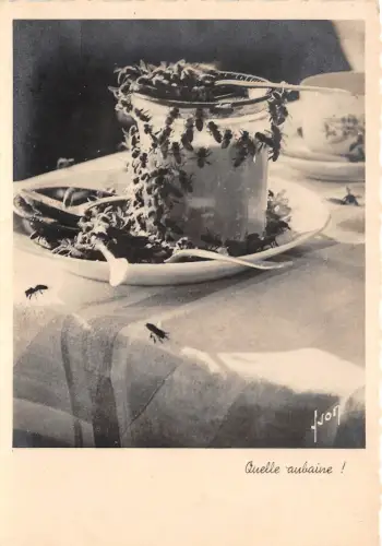 BR10760 Quelle Aubaine Bee Abbeiles Tiere