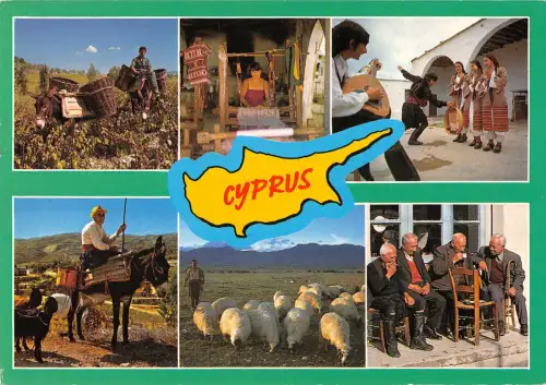 B108869 Zypern Traditionelles Leben Schafe Tiere, Folklore