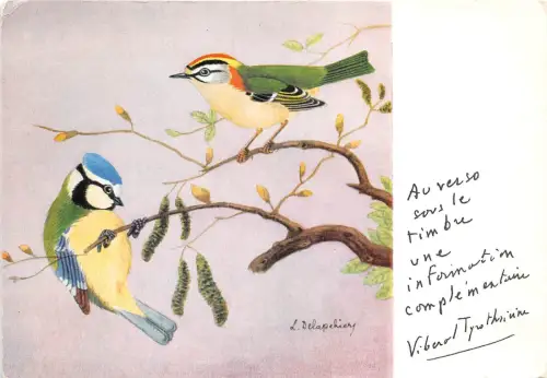 BF40137 mesange bleue parus caeruleus france bird oiseau