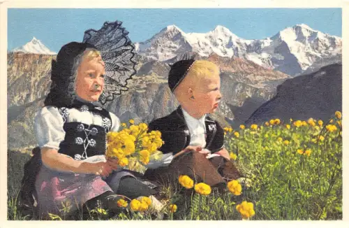 B4933 Berner Oberlander Front/Back Scan