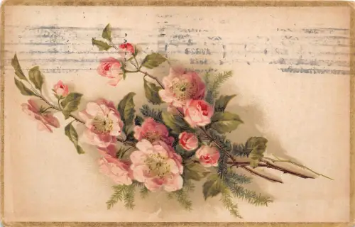 B2133 Fleurs Blumen Eisenbahnstempel PPC gebraucht 1922 Front/Back Scan