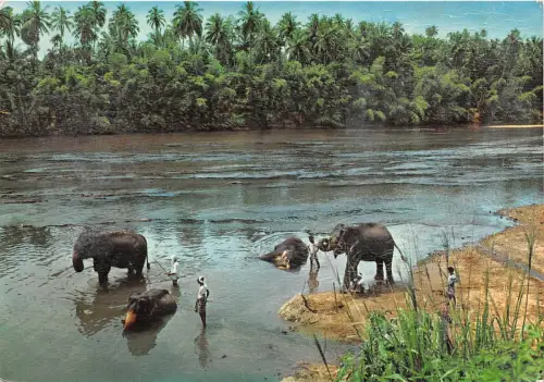 BG9492 Elefantenbad Katugastota Kandy Ceylon Sri Lanka