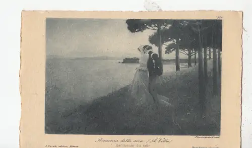 BF18036 armonia della sera a villo Gemälde Kunst Vorder-/Rückbild