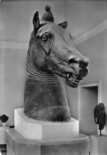 BG17376 Napoli Pferd Protone Kunst Postkarte Skulptur Italien CPSM 14,5x9cm