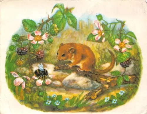 Lot356 Siebenschläfer und Biene mit Brombeeren Truda Mordue Gemälde Postkarte Kunst