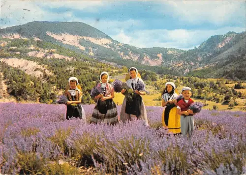 BT9656 La cuillette de la lavande france folklore femmes women chi France