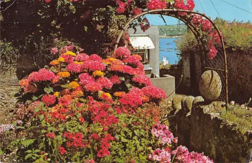 BR83012 a flower garden on st mary s scilly uk