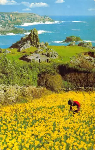 uk7940 flower field st marys scilly uk