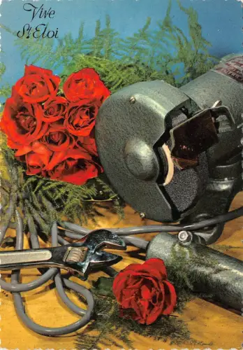 BR38768 Rosen Blumen Fleurs St Eloi Frankreich