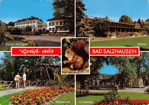 BT4683 Bad Salzhausen Germany