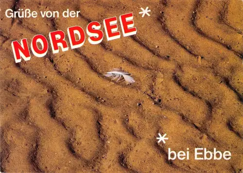 BT11462 Nordsee bei ebbe germany Germany
