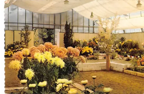 BT11501 Palmengarten Frankfurt am Main Deutschland