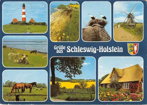 BT13431 Schones Schwastein Holstein Windmühle Pferde Chevaux She Germany