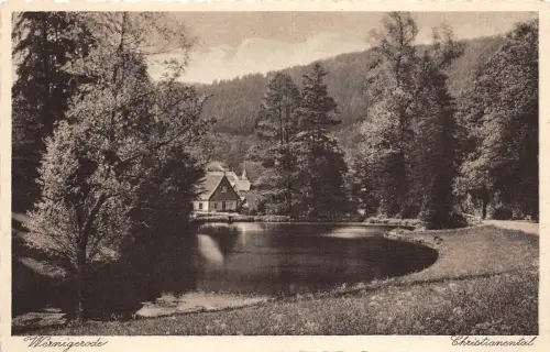 BG26037 wernigerode christianental germany