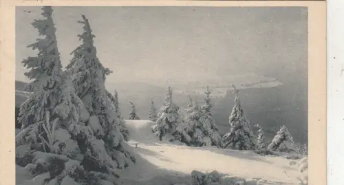 BG25044 auf einsamer hohe germany