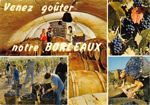 BT9777 Le bordelais en vendanges France