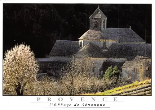 BF1043 Gordes sur le plateau de vaucluse Frankreich