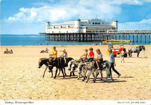 BR91242 donkeys weston super mare donkey anne uk