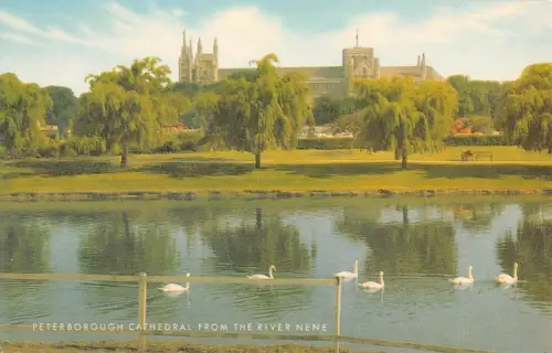 BR66205 from the river nene peterborough cathedral uk 14x9cm