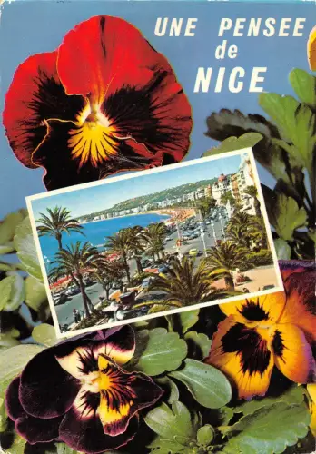BT6435 Nice un pensee France