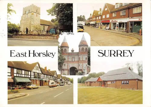 BR91784 east horsley surrey uk