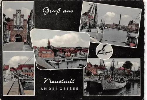BG22350 gruss aus neustadt an der ostsee ship bateaux germany CPSM 14,5x9cm