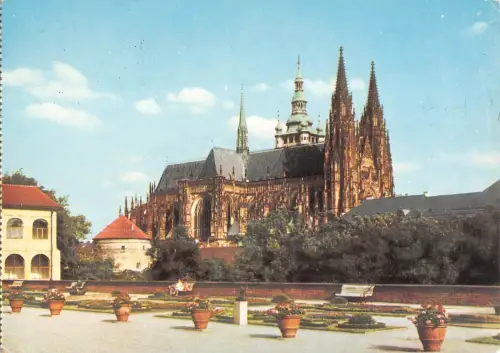 BG35717 Praha St Vitus Dom Tschechien