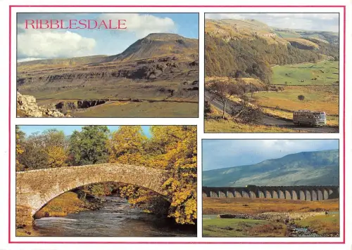 B102231 ribblesdale ingleton packhorse bridge stainforth uk